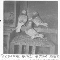 Federal Girl and two sons