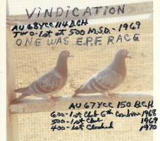 Vindication winners, 1968-9