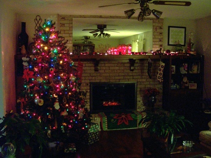 Christmas tree 2011